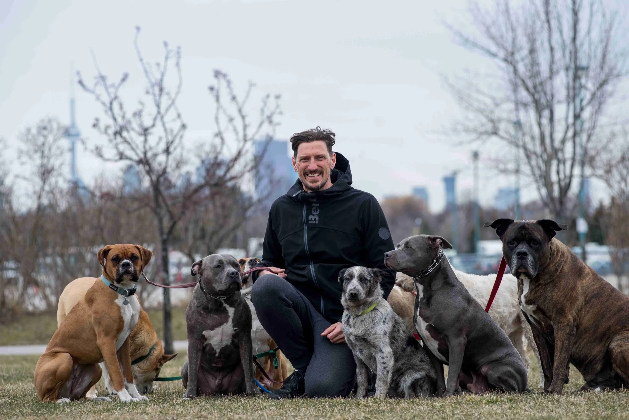 Mark Elliott working with dogs against the Toronto skyline